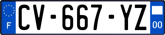 CV-667-YZ