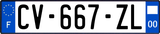 CV-667-ZL