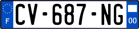 CV-687-NG