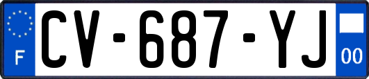 CV-687-YJ