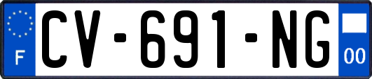 CV-691-NG