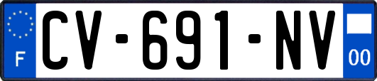 CV-691-NV