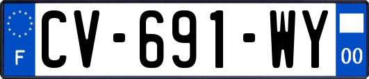CV-691-WY