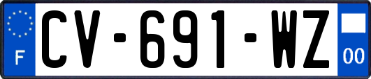 CV-691-WZ