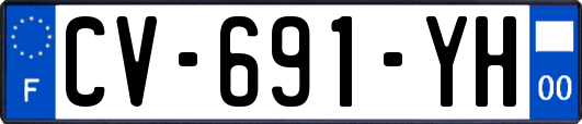 CV-691-YH