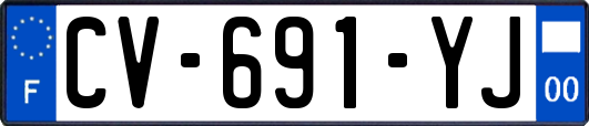 CV-691-YJ