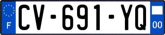 CV-691-YQ