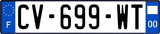 CV-699-WT