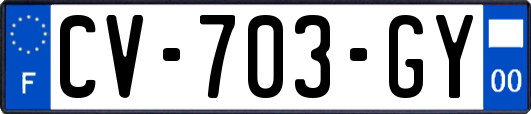 CV-703-GY