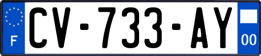 CV-733-AY