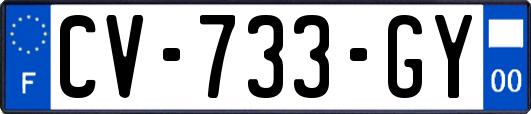 CV-733-GY