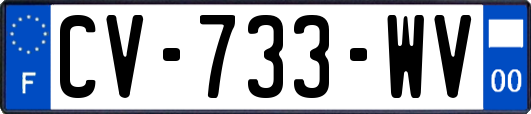 CV-733-WV