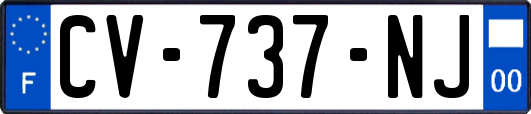 CV-737-NJ