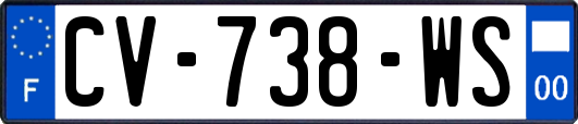CV-738-WS