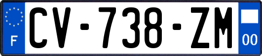 CV-738-ZM