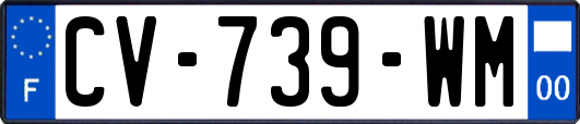 CV-739-WM