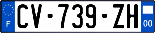 CV-739-ZH