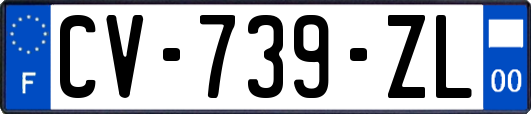 CV-739-ZL