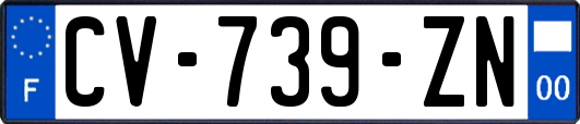 CV-739-ZN