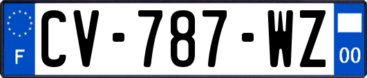 CV-787-WZ