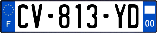 CV-813-YD