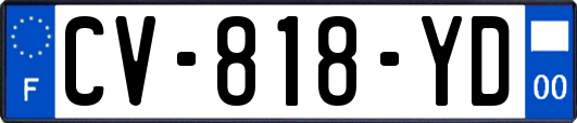 CV-818-YD