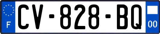 CV-828-BQ
