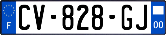 CV-828-GJ