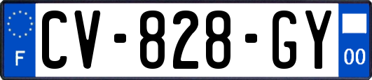 CV-828-GY