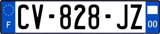 CV-828-JZ