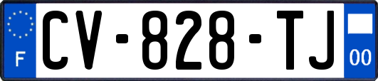 CV-828-TJ