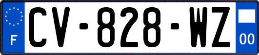 CV-828-WZ