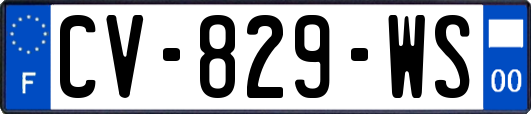 CV-829-WS