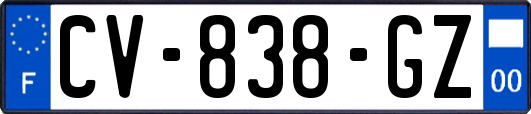 CV-838-GZ