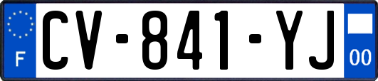 CV-841-YJ