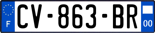 CV-863-BR
