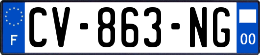 CV-863-NG