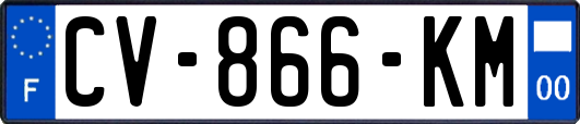 CV-866-KM