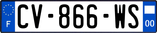 CV-866-WS