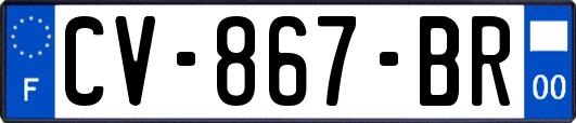 CV-867-BR