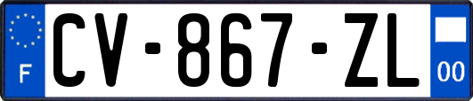 CV-867-ZL