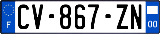 CV-867-ZN