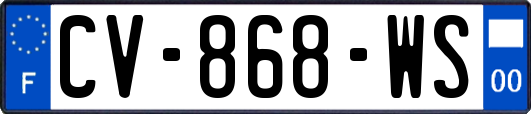 CV-868-WS