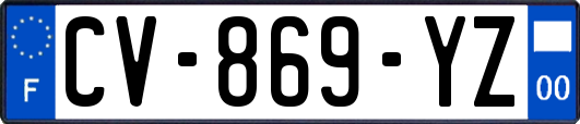 CV-869-YZ