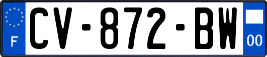 CV-872-BW