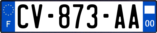 CV-873-AA