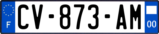 CV-873-AM