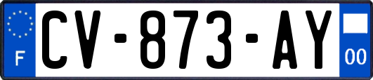 CV-873-AY