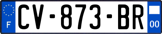 CV-873-BR