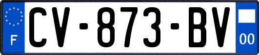 CV-873-BV